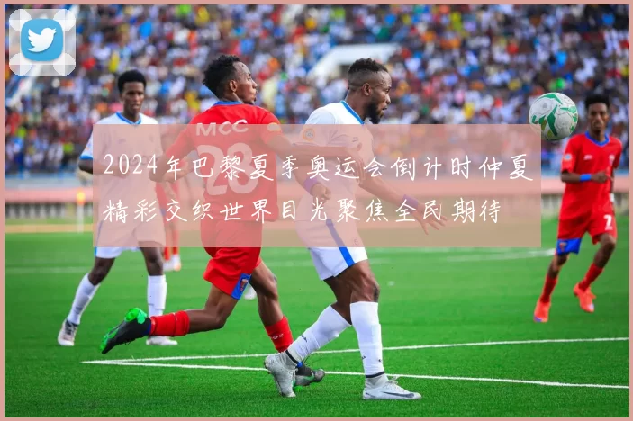 2024年巴黎夏季奥运会倒计时仲夏精彩交织世界目光聚焦全民期待