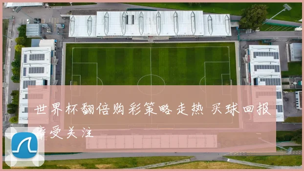 世界杯翻倍购彩策略走热 买球回报率受关注