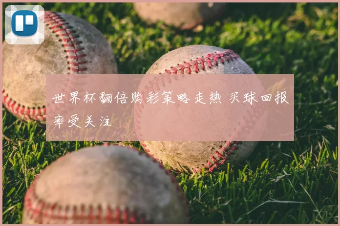 世界杯翻倍购彩策略走热 买球回报率受关注