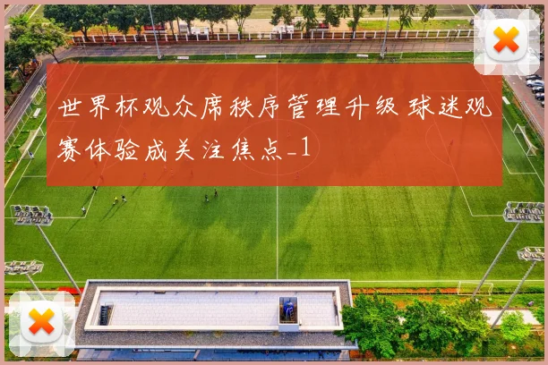 世界杯观众席秩序管理升级 球迷观赛体验成关注焦点_1