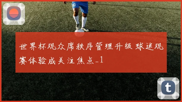 世界杯观众席秩序管理升级 球迷观赛体验成关注焦点_1