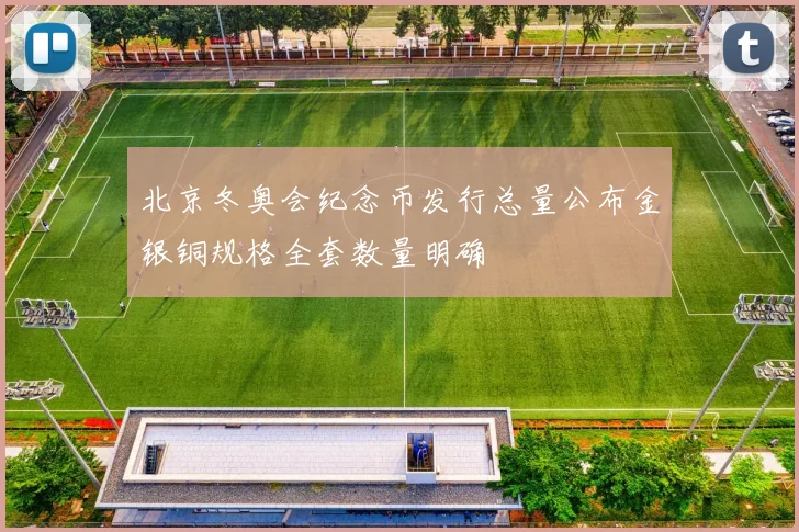 北京冬奥会纪念币发行总量公布金银铜规格全套数量明确