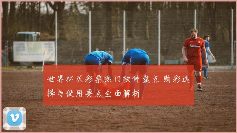 世界杯买彩票热门软件盘点 购彩选择与使用要点全面解析